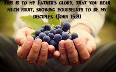 Without Hindrance: Giving God the Opportunity to Express His Heart In, With, and Through You, i.e., Doing the Works Jesus Did and Greater – Life Lesson No. 62: Be Fruitful: First Words Set the Course