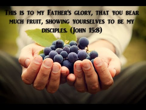 Without Hindrance: Giving God the Opportunity to Express His Heart In, With, and Through You, i.e., Doing the Works Jesus Did and Greater – Life Lesson No. 62: Be Fruitful: First Words Set the Course