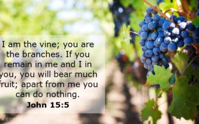 The Solution – The Answer to Every Need, Problem, and Impossible Situation – Life Lesson No. 8: The Vine and the Branches – drawing your life from Christ