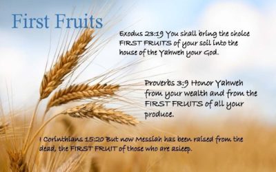 First Fruits, Firstborn, and the Double