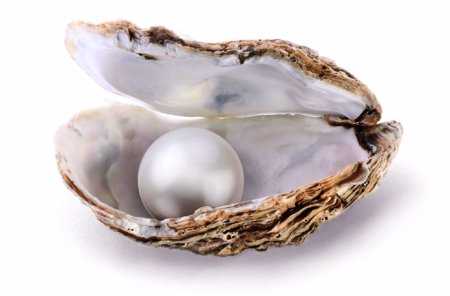 Strong and Courageous – Forging New Paths Along Ancient Ways – Life Lesson No. 5: The Pearl of Great Price