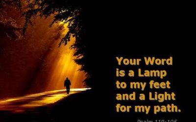Thoughts, Words, Actions: The Building Blocks of Your Life Story for Idleness or Glory – Life Lesson No. 65: Let the Light Shine In and Never Sin