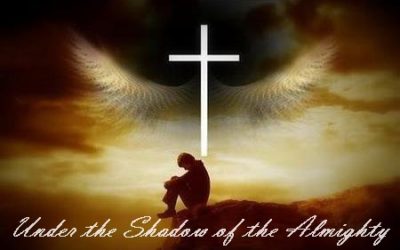 In the Shadow of His Wings