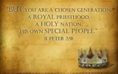 It is time for the royal priesthood to stand up and turn back the flood