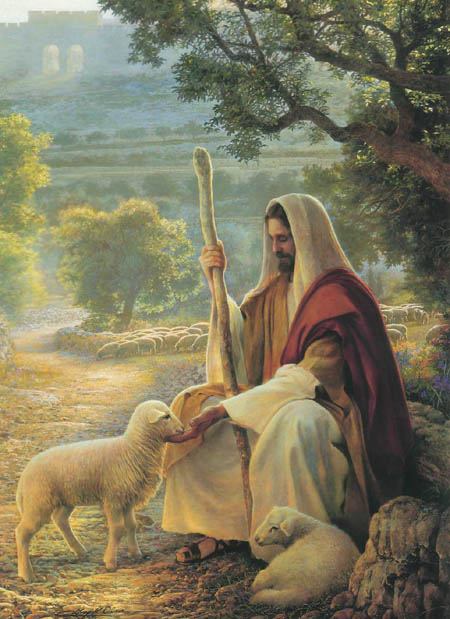Walking in the Spirit – A life of unshakable joy and perfect peace – Life Lesson No. 13: The Good Shepherd (Know who is knocking)