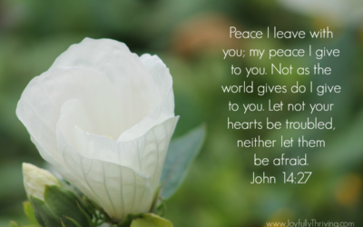 Jesus gave us His peace and His Faith