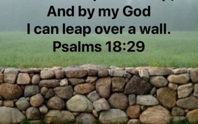 Leap Over Walls with Love