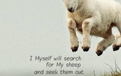 The cure for hard hearts