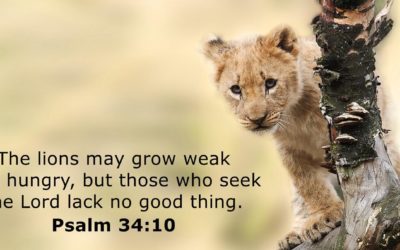 Those Who Seek the LORD Want for No Good Thing