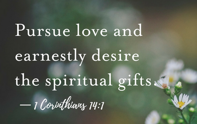 Pursue Love