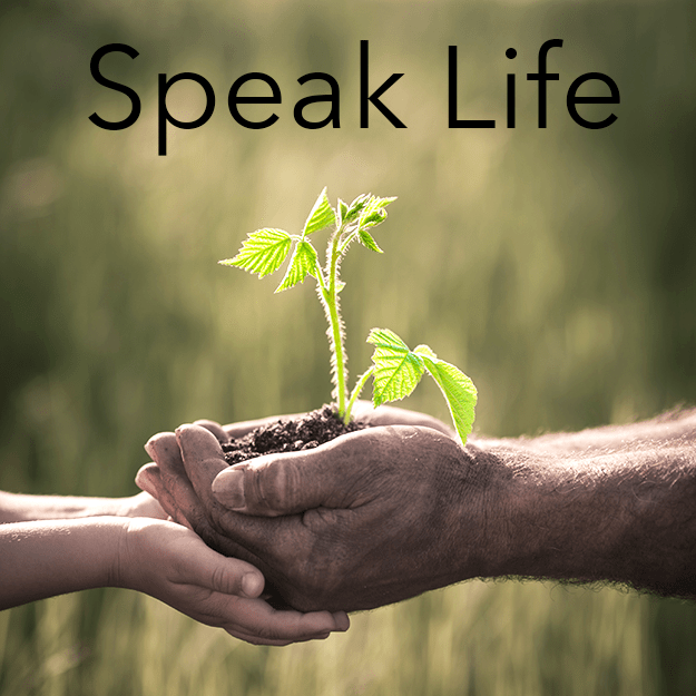 Watch Your Words! Life Lesson No. 5: Speak Life