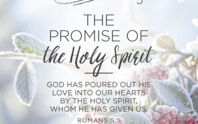 Forget Not ALL His Benefits – Life Lesson No. 8: The Promise of the Spirit Through Faith