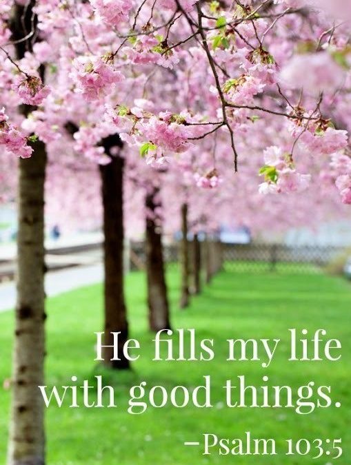 Forget Not ALL His Benefits – Life Lessson No. 5: He fills your days with good things