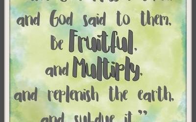 Fruitful – Life Lesson No. 1: BLESSED