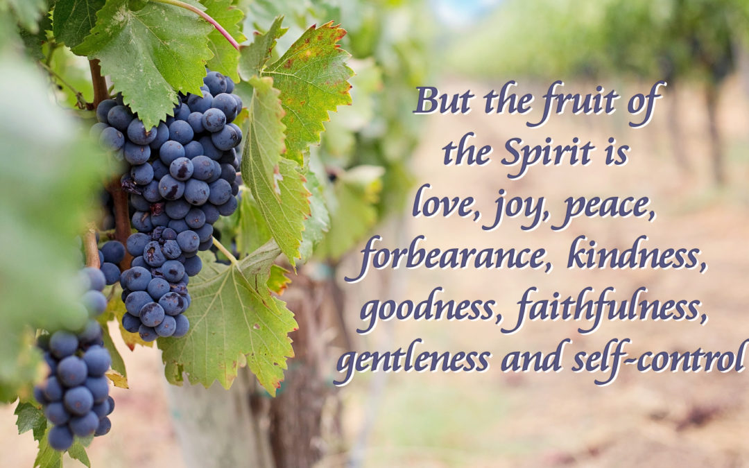 Fruitful – Life Lesson No. 2: Love
