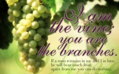 JESUS – God with Us – Life Lesson No. 9: “I AM the Vine and You are the Branches”