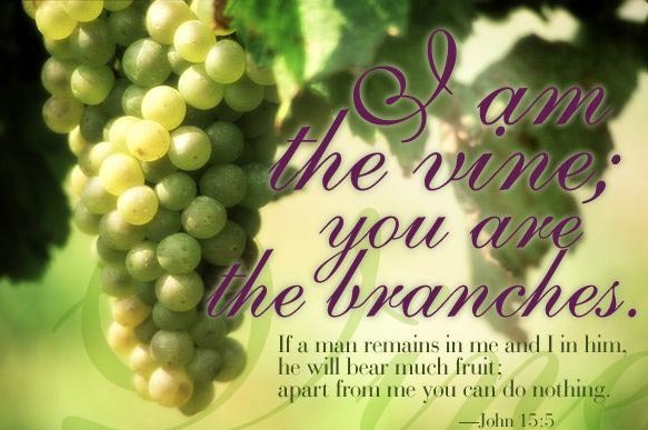 JESUS – God with Us – Life Lesson No. 9: “I AM the Vine and You are the Branches”