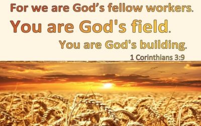 Witnessing Effectively for God in the World – Life Lesson No. 2: How to Witness