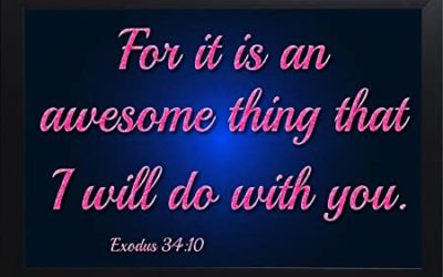 What to do when Satan Attacks – A Believer’s Manual – Life Lesson No. 44: Expect a Miracle