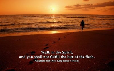 What to do whe Satan Attacks – A Believer’s Manual – Life Lesson No. 22: Walk in the Spirit