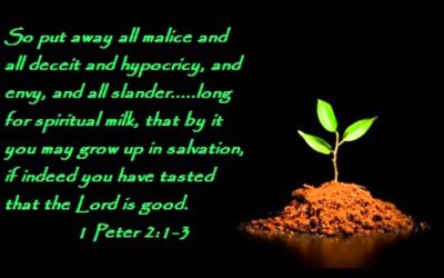 Seeing with the Heart – Life Lesson No. 2: Grow Thereby