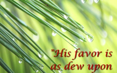 HEAVEN – Life Lesson No. 71: Walking in the Word Brings Heaven to Earth