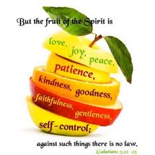 How to Have Joy – Effectively Getting Rid of Depression, Hope, and Sadness – Step No. 14: Joy in the Fruit of the Spirit