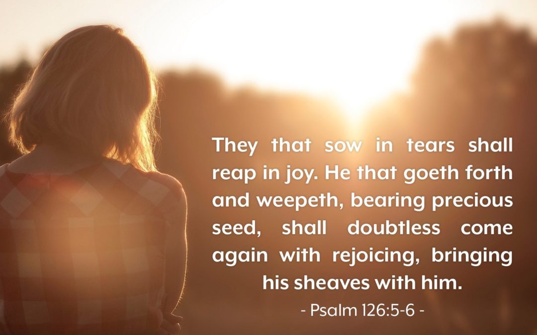 How to Have Joy – Effectively Getting Rid of Depression, Hopelessness, and Sorrow – Step 26: Joy in Sowing and Reaping