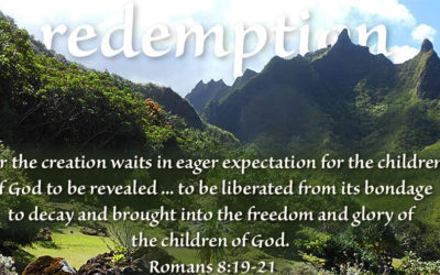 The Freedom of the Children of God – Redeemed from the Curse – Life Lesson No. 1: What is the Freedom of the Children of God?