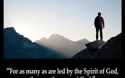 Prophesy! And bring new life- Life Lesson No. 9: Be Led by the Holy Spirit