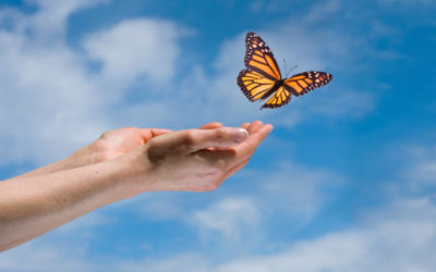 Controlling Your Tongue for a Life of Good Days – Life Lesson No. 7: A Butterfly is No Longer a Caterpillar – Focus Forward Not Back