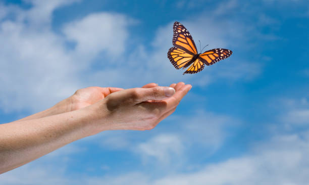 Controlling Your Tongue for a Life of Good Days – Life Lesson No. 7: A Butterfly is No Longer a Caterpillar – Focus Forward Not Back
