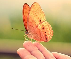 In Christ – Nothing is the Same – All is New – Life Lesson No. 8: A New Creation