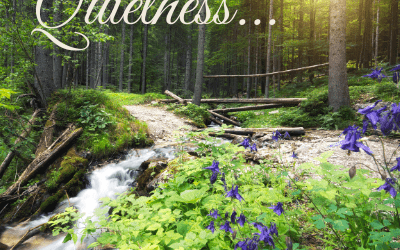The Path of Life – Finding Your Way to Perfect Peace and Joy – Life Lesson No. 27: The Path of Quietness