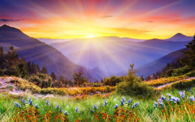 In Christ – Nothing is the Same – All is New – Life Lesson No. 29: Out of Darkness into His Wonderful Light