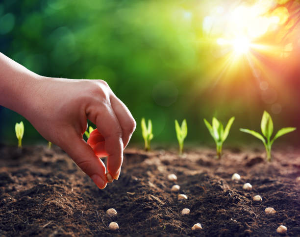 Le pouvoir de la dîme – Vivre sous un ciel ouvert – Leçon de vie n°2 : Deux aspects de la dîme : les graines à semer pour une récolte et les redevances payées pour l’utilisation des bonnes choses provenant de leur source