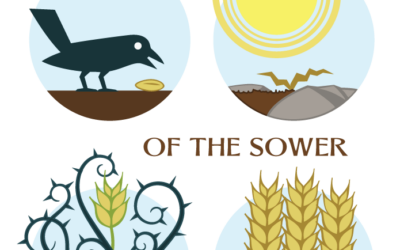 The Way, the Truth, and the Life – Life Lesson No. 30:  The Truth: Fruitful in the Light of Life