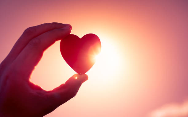 It is Time to Seek the LORD – Life Lesson No. 41: Seeking to Do Right with a Whole Heart