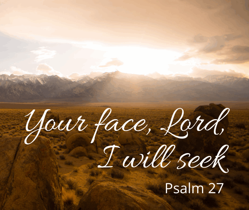 The Joy of Knowing Him – The Greatest Adventure of All – Life Lesson No. 3: Have You Not Heard?