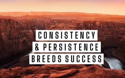Thoughts, Words, Actions: The Building Blocks of Your Life Story for Idleness or Glory – Life Lesson No. 88: Consistent, Persistent, and Constant