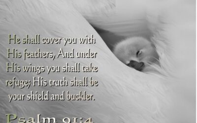 The Way, the Truth, and the Life – Life Lesson No. 29:  The Truth is a Shield and a Bulwark